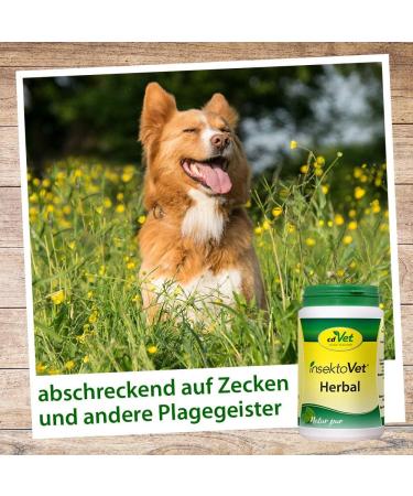 CDVet Insectovet Herbal 100g - Natural Nutritional Supplement for Dogs | Boost Skin Health with Vitamins & Minerals - Buy Online on SooperMarket.com