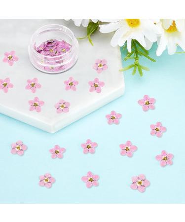 Timtin 100 Pcs Natural Forget Me Dried Flowers for DIY Jewelry, Candle, and Card Making - Real Pressed Flowers for Resin Ornaments and Nail Art Decorations (Pink) - Buy Online on SooperMarket.com