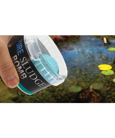 Evolution Aqua Pure Sludge Bomb Pond Sludge Remover Natural Sludge Buster for Pond Clear Water Treatment Bacteria Balls Cleaner Pond Bomb for Fish Ponds | 1 Gel Ball Treats 20 000 litres - Buy Online on SooperMarket.com
