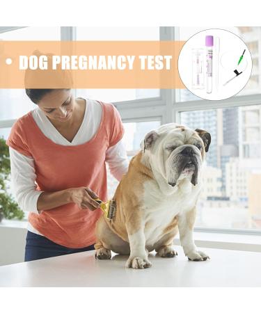 GANAZONO Pet Dog Pregnancy Pregnant Test Paper Strip Fast and Accurate Detection Pet Dog Pregnancy Test Card Dog Pregnant Test - Buy Online on SooperMarket.com