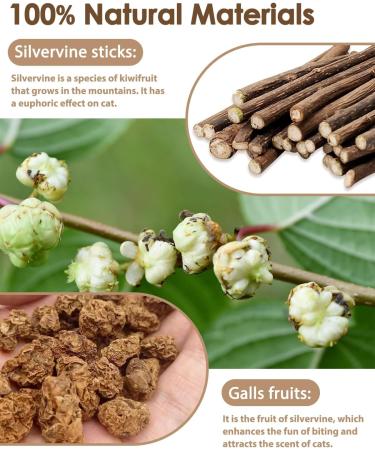 Nepfaivy Cat Toys for Indoor Cats - Silvervine Stick Cat Chew Toy 6 PCS Cat Nip Toy for Teeth Cleaning Natural Dental Catnip Sticks for Kittens - Buy Online on SooperMarket.com