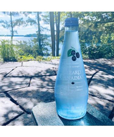 Clearly Canadian Mountain Blackberry Sparkling Spring Water - 12 Bottles x 325mL Case, Natural & Carbonated Seltzer Water - Buy Online on SooperMarket.com