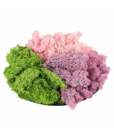 9 OZ Preserved Moss, Natural Live Moss, Fake Moss for Potted Plants, Spanish Moss for Terrariums Gardening Art, Vase Fillers, Craft Floral Wall, Wedding Decor (Green, Purple, Pink)