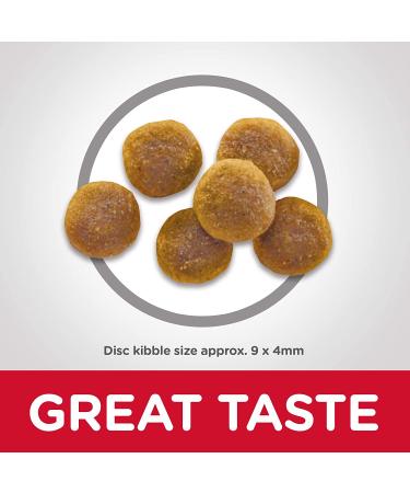 Hill's Science Diet Adult Chicken Recipe Dry Cat Food 7 lb - Pack of 1 - Buy Online on SooperMarket.com