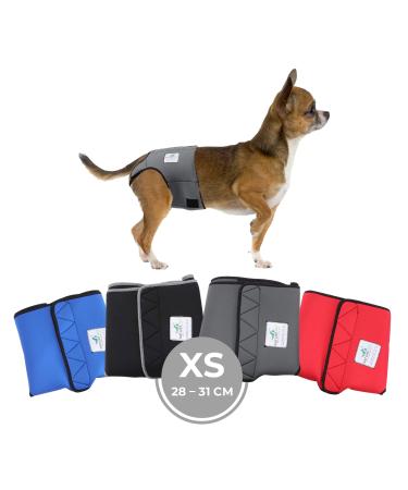 Sailing trousers for bitches 2.0 - dog diapers made of high -quality perforated neoprene for an optimal air exchange - dog diapers for male without the annoying threading of the rod (XS -gray) XS gray