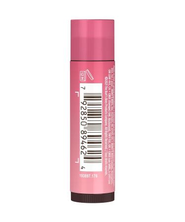 Burt's Bees Tinted Lip Balm Hibiscus - 0.15 Ounce (2 Count) | Natural Moisturizing Lip Care | International Shipping Available - Buy Online on SooperMarket.com
