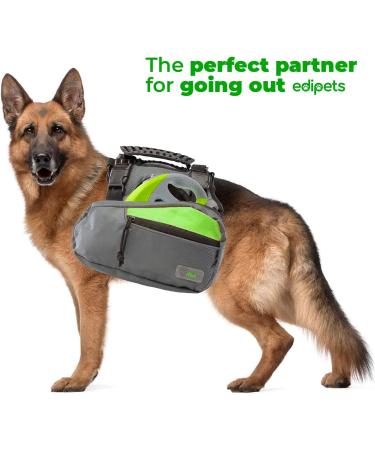 Edipets Green 5m Extendable & Retractable Dog Leash - Flexible Training Leash for Small Medium & Large Dogs - Buy Online on SooperMarket.com