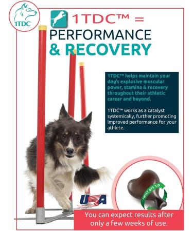 1TDC Dual Action Twist Off Soft Gels for Dogs & Cats - Supports Oral Health, Hip & Joint, Muscle Recovery, Skin & Coat - 120 Gels - Buy Online on SooperMarket.com