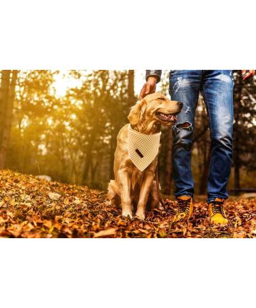 Lionet Paws Dog Bandana Headscarves - Triangle Scarf Yellow & White Checked LL | Stylish Pet Accessory for All Breeds - Buy Online on SooperMarket.com