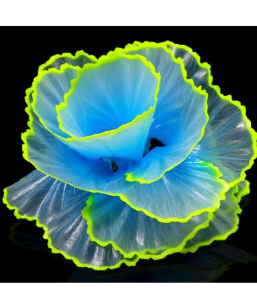Duozoance Glow-in-the-Dark Artificial Coral Plants for Aquariums - Silicone Blue Decoration | 7.5x5x9cm - Buy Online on SooperMarket.com