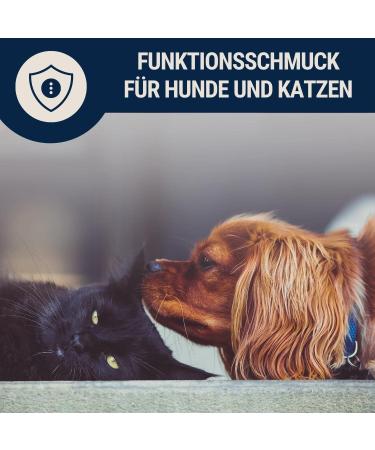 Nosli Amber Necklace Collar for Dogs & Cats | Baltic Amber Dog Collar | 60cm Amber Collar - Buy Online on SooperMarket.com