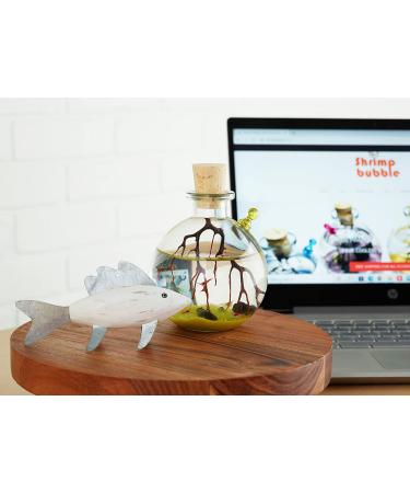 Shrimp Bubble Self-Sustaining Ecosystem in Amber - Eco-Friendly Home Decor - Buy Online on SooperMarket.com