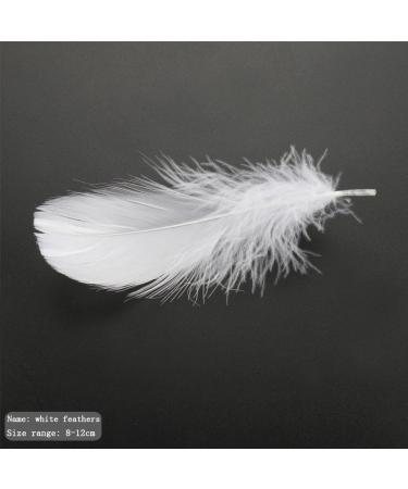 HaiMay 450 White Feathers for Craft Wedding & Party Decor 3-5 inches - Home Decorations - Buy Online on SooperMarket.com