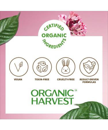 Moisture Matte Lipstick - Cherry Red | Long-lasting Hydrating Cruelty-free & Vegan | Certified Organic Makeup | 4gm - Buy Online on SooperMarket.com