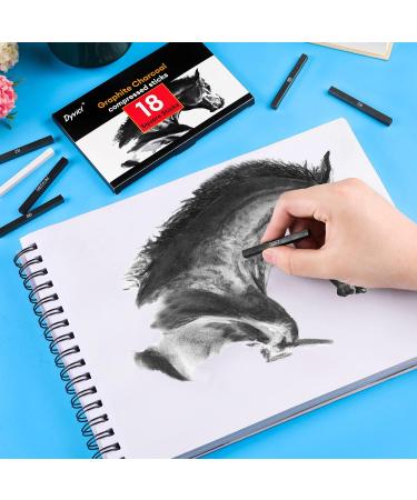 Dyvicl Compressed Graphite Charcoal Sticks - Pack of 18 for Sketching, Drawing, Shading & Blending - Buy Online on SooperMarket.com