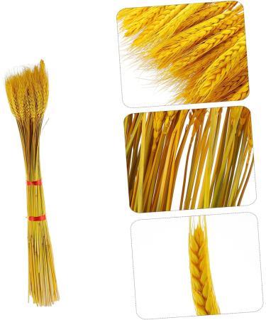 Abaodam 200 Pcs Dried Wheat Ears Bouquet Decked Dried Flower Bouquet Wheat Sheave Bundle Wheat Sheave Flower Wedding Decoration Wheat Stalk Ears of Wheat Gift Dried Flowers. Yellowx2pcs 52X10CMx2pcs - Buy Online on SooperMarket.com