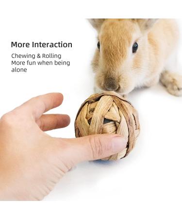 Camiter 9-Piece Chewing Toy Set for Small Animals | Hamsters Rabbits Guinea Pigs & More - Durable Chew Cases & Cube Toys - Buy Online on SooperMarket.com