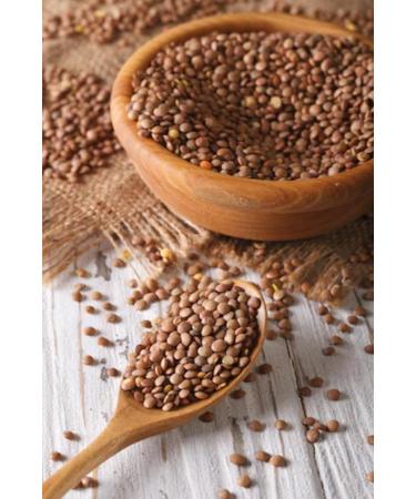 Thames Organic 500g Brown Lentils - High Fiber, High Protein, No Additives, Raw Vegan - Ideal for Soups, Salads, Curries - Nutritious & Flavorful - GMO-Free - Buy Online on SooperMarket.com