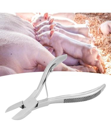 Pwshymi Stainless Steel Dental Forceps for Piglets - Comfortable Easy to Clean Dental Scissors for Newborn Teeth Trimming - Buy Online on SooperMarket.com