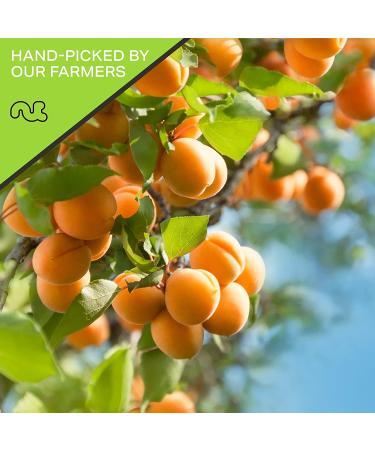 Sun Dried Turkish Apricots - No Sugar Added (16oz) | All Natural Dehydrated Fruit Snack | Vegan & Kosher Certified - Buy Online on SooperMarket.com