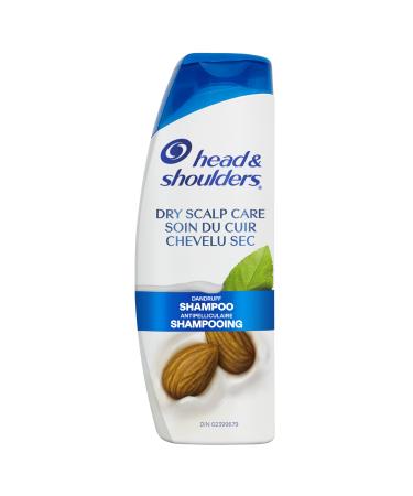 Head & Shoulders Dry Scalp Anti-Dandruff Shampoo 370 mL Floral 370 ml (Pack of 1)