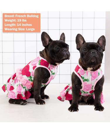 KYEESE Elegant Princess Dog Dress with Rose and Flowers Decor for Small Dogs - Medium Size | Spring Summer Dog Apparel - Buy Online on SooperMarket.com