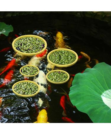 Peutier 5stk Floating Plant Rings for Aquariums - Round Planting Corrals in 5 Sizes - Yellow Fish Feeding Rings Hold Floating Plants in Place - Buy Online on SooperMarket.com