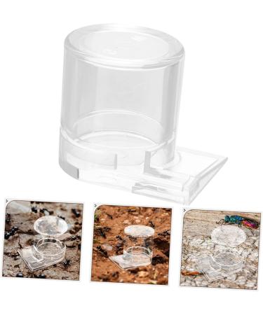 ORFOFE Pet Water Feeder Ant Waterer Ant Feeder Station Ant Bottle Feeder Ant Water Drinking Cup Plastic - Buy Online on SooperMarket.com