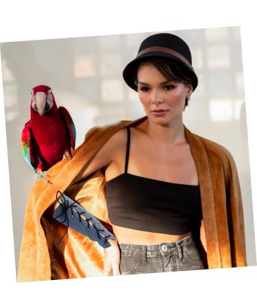 HAPINARY Parrot Arm Cover Bird Training Pad Pet Shoulder Pad Bird Shawl Bird Supplies Cotton 25x11cm Blue - Buy Online on SooperMarket.com