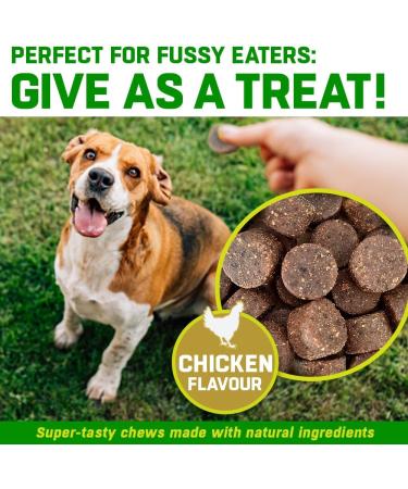 Dog Joint Care Supplements | 150 Chews with Green Lipped Mussel, Glucosamine & Chondroitin | Hemp Oil, MSM, Hyaluronic Acid, Manganese & Vitamins | Aids Stiff Joints | 1 Pot (150 Chews) - Buy Online on SooperMarket.com
