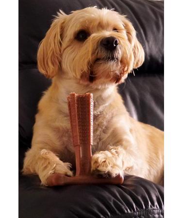 Bamboodles Peanut Butter T-Bone Dog Chew Toy - Medium | Durable & Natural Chew for Dogs - Buy Online on SooperMarket.com