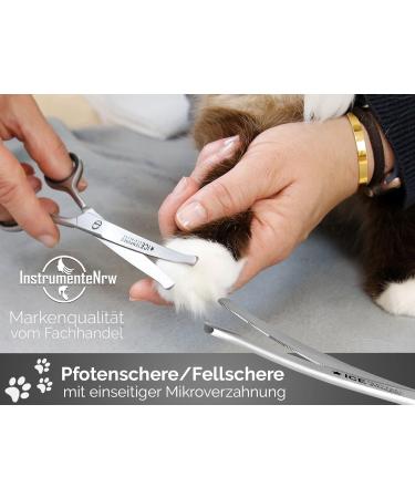 Buy Exclusive 16cm Fur & Paw Scissors - Curved Dog Hair Scissors for Grooming - Buy Online on SooperMarket.com