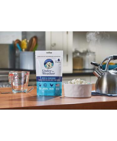 Under the Weather Easy to Digest Bland Dog Food Diet for Sick Dogs with Electrolytes - Gluten Free, All Natural, Freeze Dried - 6 Pack of Rice, Chicken & Bone Broth 6oz - Buy Online on SooperMarket.com