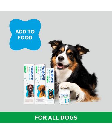 YuMOVE Skin & Coat Care Boost | Previously YuDERM Boost | Nutritional Supplement for Dogs Coat Skin and Nails | 180 scoops | Packaging may vary 91 g (Pack of 1) - Buy Online on SooperMarket.com
