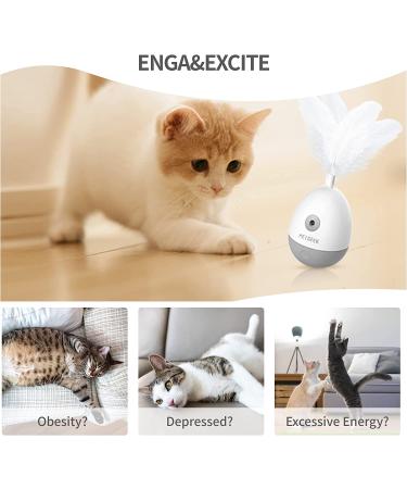 PETGEEK Laser Pointer Cat Toy - Interactive Kitten Toy with Bird Squeaky - Automatic Rotating Cat Laser Pointer - Indoor Cat Toys Gray - Buy Online on SooperMarket.com
