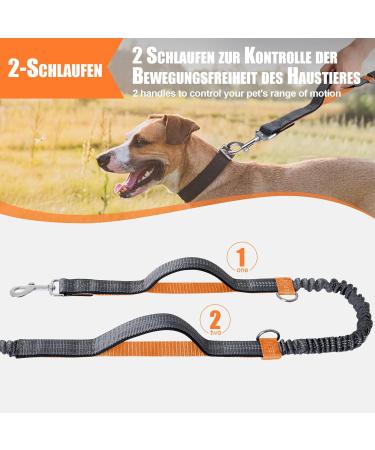 Snocyo Reflective Jogging Leash for Medium & Large Dogs | Elastic Double Handle & Waist Valve | Retractable Running Dog Leash in Gray & Orange - Buy Online on SooperMarket.com