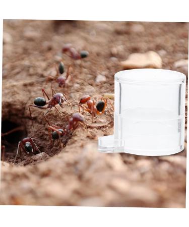 BESPORTBLE 2pcs Ant Water Feeder Acrylic Ant Feeders Professional Ants Feeder Tortoise Water Dish Transparent - Buy Online on SooperMarket.com