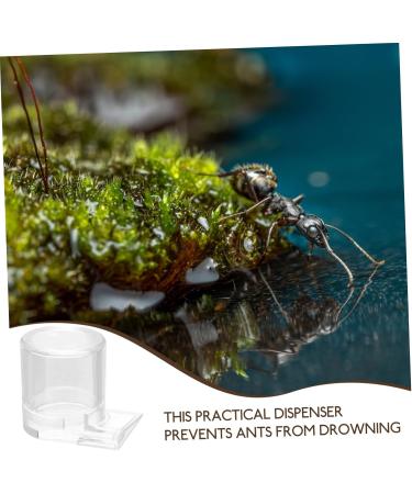 BUGUUYO Pet Water Feeder Ant Nest Water Cup Ant Watering Station Ant Nest Feeder Transparent Plastic - Buy Online on SooperMarket.com