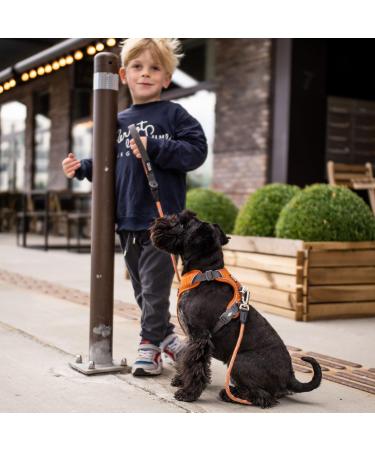 DOG Copenhagen Comfort Walk Pro Harness - Size XL Black - Buy Online on SooperMarket.com