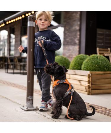 Buy DOG Copenhagen Dog Harness V2 Comfort Walk Pro Ocean Blue XS - Best for Small Dogs - Premium Quality Adjustable Fit - Buy Online on SooperMarket.com