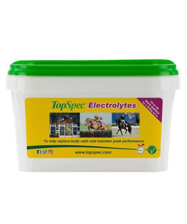 TopSpec Unisex's Electrolytes 1500 gram (Pack of 1) Transparent