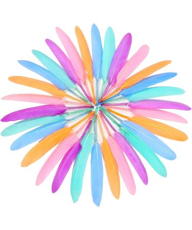 FeelfunFeather 240pcs Macaron Goose Cochettes Feathers 4-6 inch Bulk Natural - Wedding Party Halloween DIY Crafts - Buy Online on SooperMarket.com