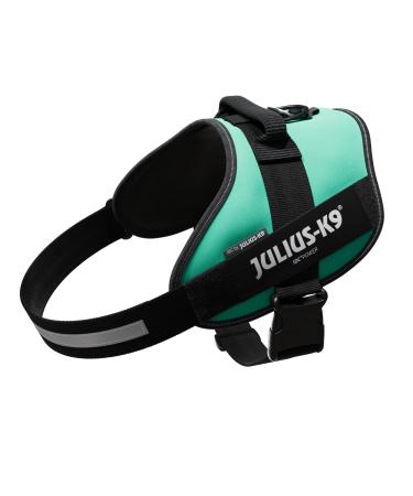 IDC Powerharness Dog Harness Size: 2XL/3 Grass Green Grass Green 2XL/3
