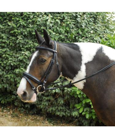 Windsor Leather Comfort Horse Pony Snaffle Bridle Flash Noseband Full Black