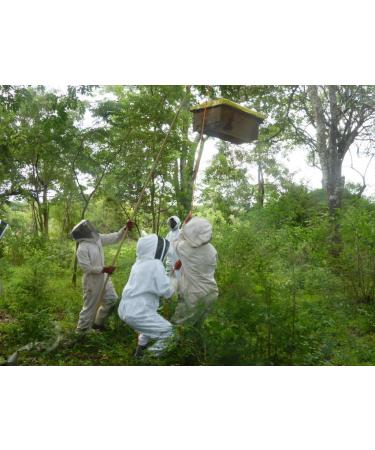 Mama Buci Top Bar Hive Zambian Pure Honey Ethically Produced Winter Harvest 340 g Dark - Buy Online on SooperMarket.com