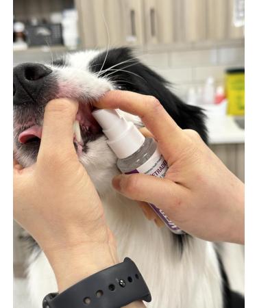 VETRADENT Oral Spray for Dogs & Cats with Biotrate Technology Fight Plaque & Tartar Freshen Breath Maintain & Promote Good Dental and Oral Hygiene 60ml Made in USA - Buy Online on SooperMarket.com