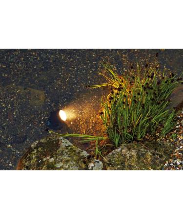 Pontec PondoStar LED Underwater Lighting Set of 3 - Buy Online on SooperMarket.com