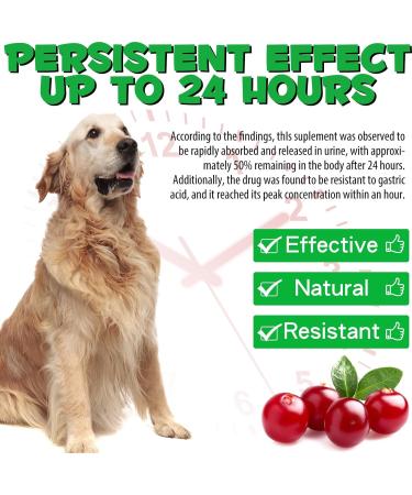 Dog Urinary Tract Infection Treatment Drops with Cranberry Extract - Supports Bladder, Kidney Stone Prevention & UTI - Bacon Flavor - 60ml - Buy Online on SooperMarket.com