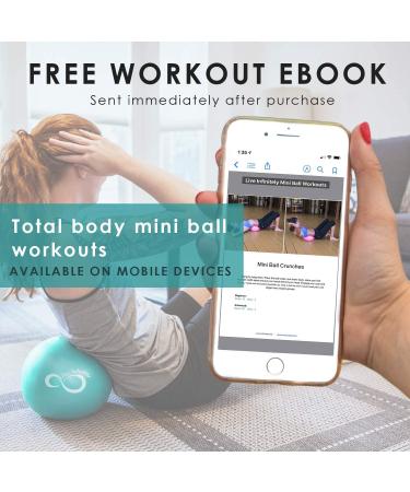 Live Infinitely 9 Barre Pilates Ball Set | Anti-Burst Mini Ball with Hand Pump | Yoga & Exercise eBook Included | Silver | Mesh Carrying Bag - Buy Online on SooperMarket.com