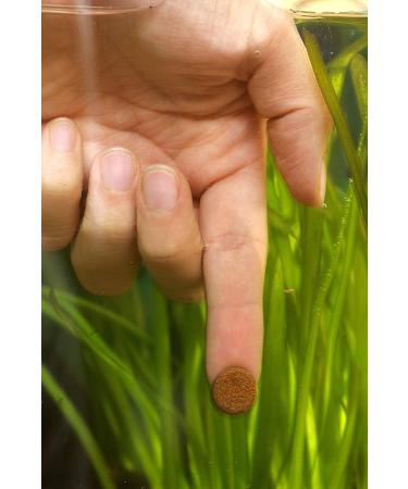 Sera O-Nip Nature 100ml - High-Usability Fish Feed with 7% Krill | Premium Adhesive Tablets for Healthy Aquarium Variety | 60g Pack - Buy Online on SooperMarket.com